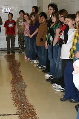 coin collecting