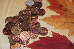 coin collecting