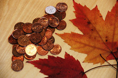 coin collecting