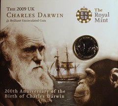 coin values